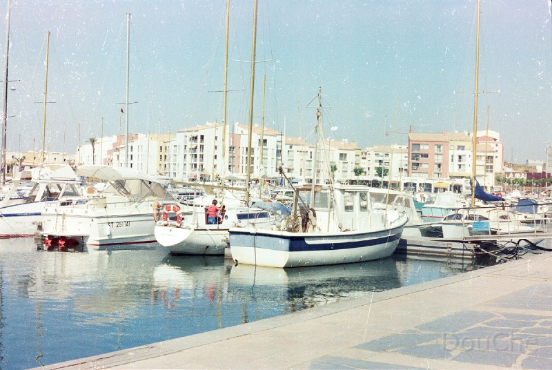 20110310_045.jpg