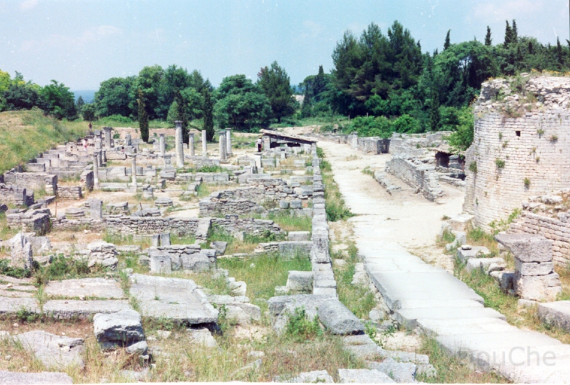 20110314_008.jpg