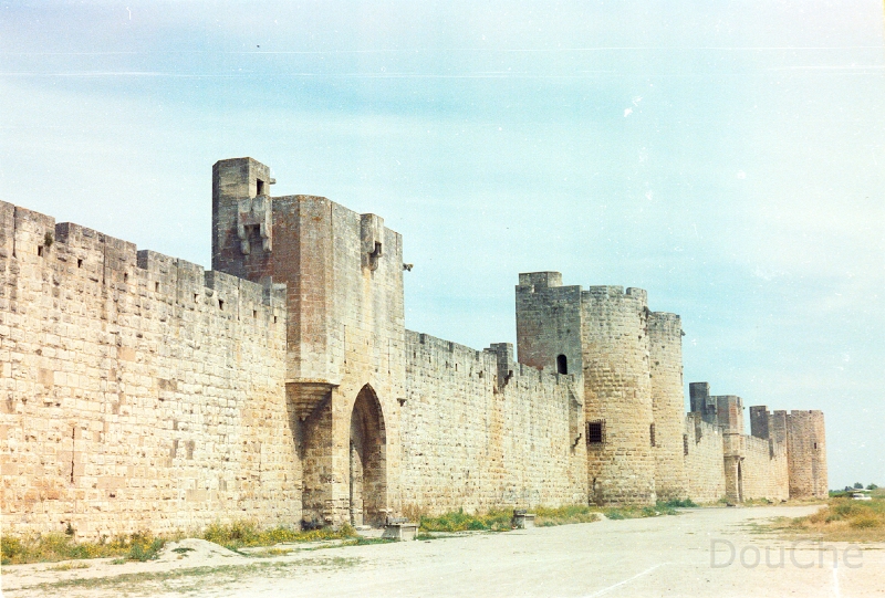 20110314_015.jpg