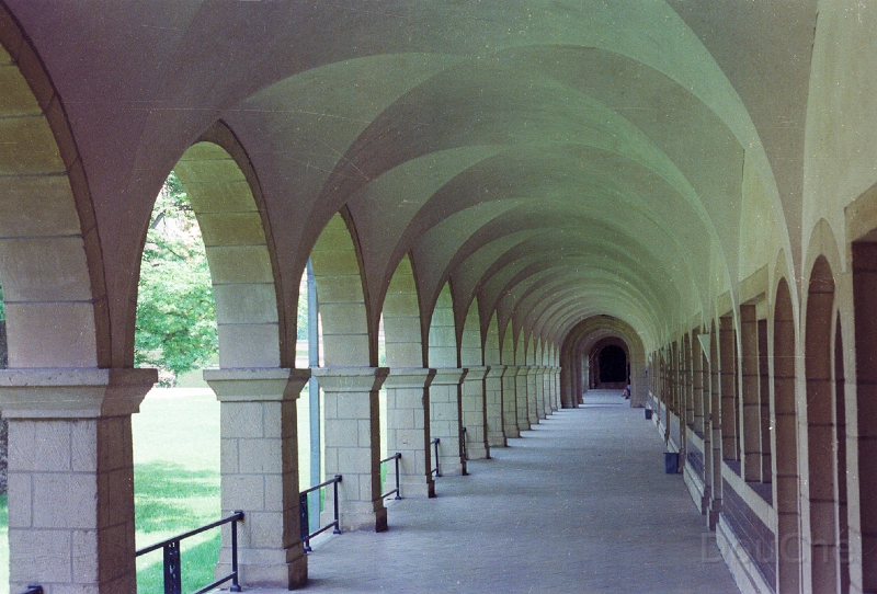 20110315_009.jpg