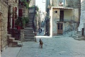 20110316_016