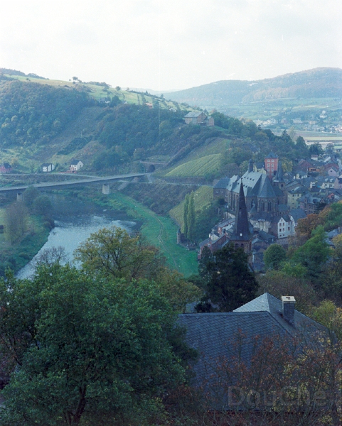 20110306_083.jpg