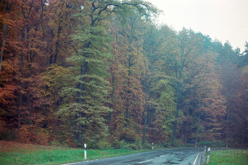 20110306_096.jpg
