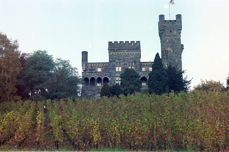 20110306_105.jpg