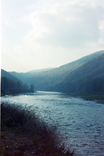 20110306_106.jpg