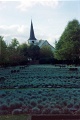20110306_091