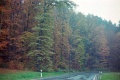 20110306_096