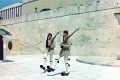 20110309_053