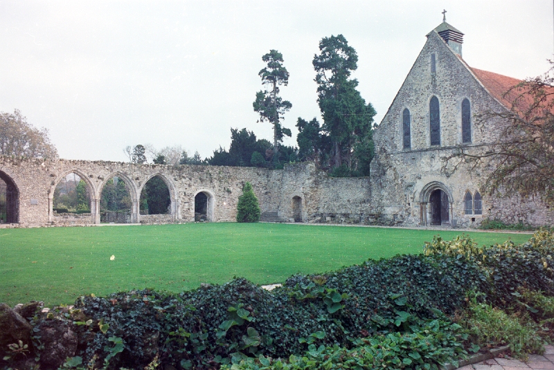 20110305_007.jpg