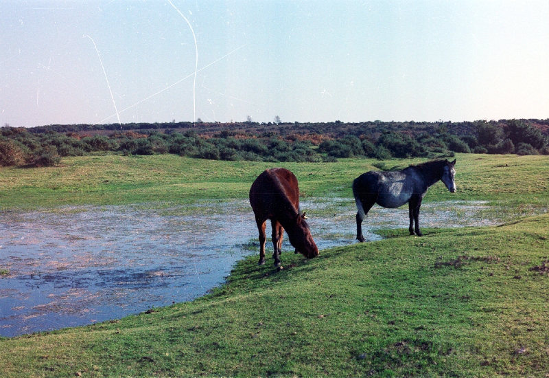 20110305_037.jpg
