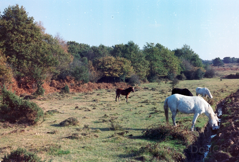 20110305_038.jpg