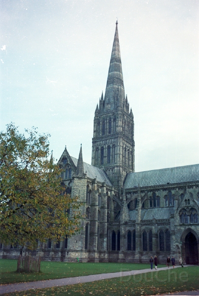 20110305_060.jpg