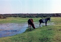 20110305_037