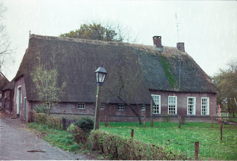 20110306_014.jpg
