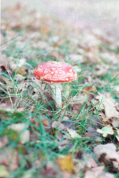 20110306_021.jpg