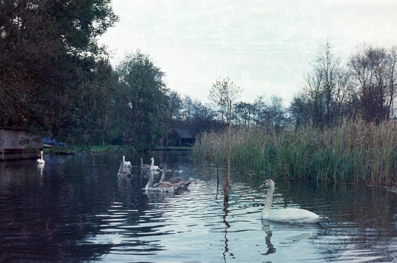 20110306_023.jpg