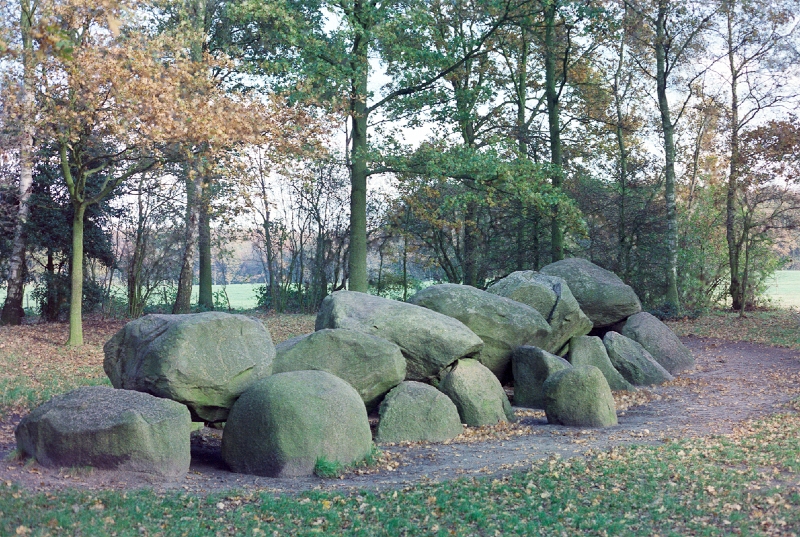 20110306_040.jpg