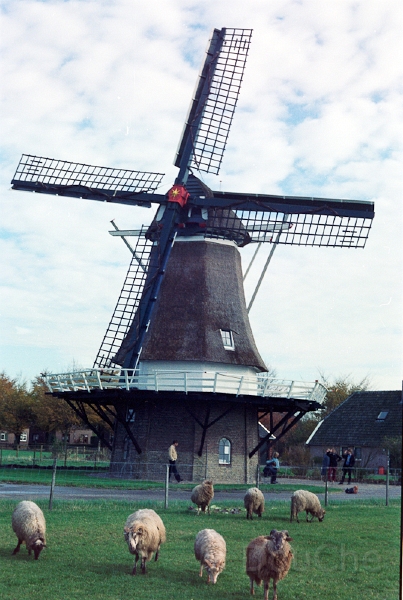 20110306_041.jpg