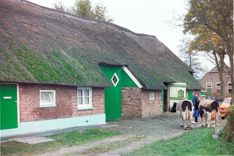 20110320_002.jpg