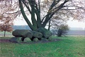 20110306_011