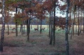 20110306_018