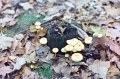 20110306_020