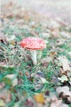 20110306_021