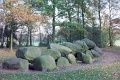 20110306_040