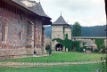 20110319_028