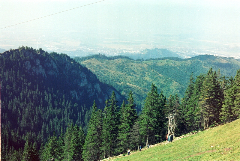 20110318_013.jpg