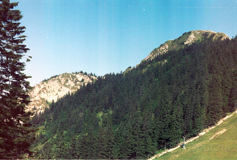 20110318_015.jpg