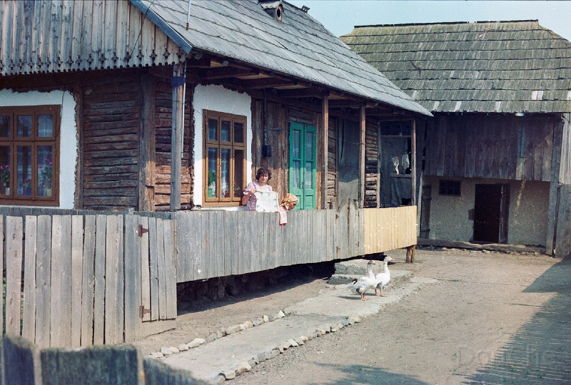 20110320_010.jpg