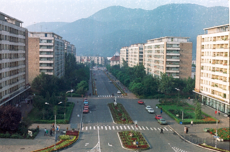 20110319_039.jpg
