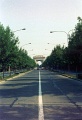 20110318_059