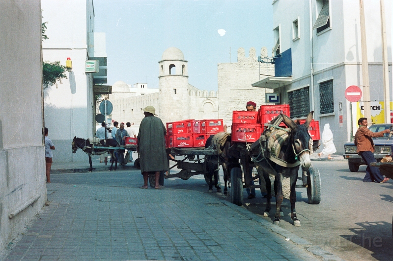 20110325_015.jpg