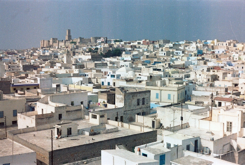 20110327_006.jpg