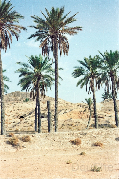 20110324_033.jpg