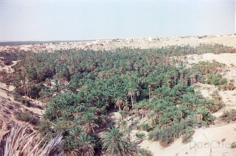 20110327_016.jpg