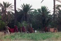 20110324_030