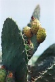 20110325_020