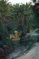 20110327_036
