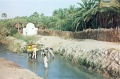 20110327_038