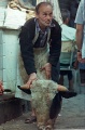 20110324_009