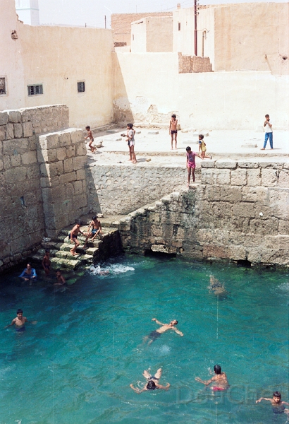 20110324_031.jpg