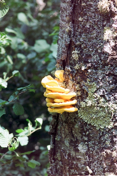 20110605_024.jpg