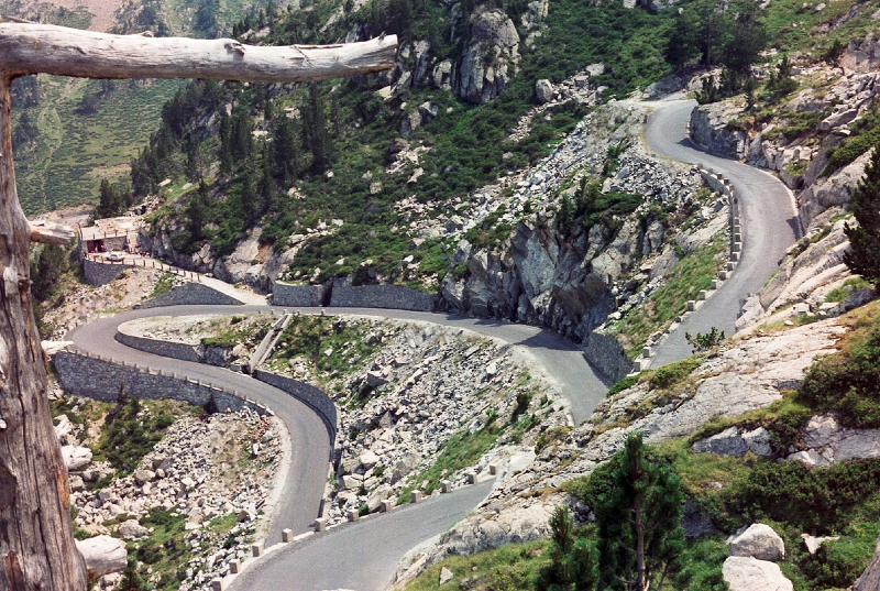 20110605_026.jpg