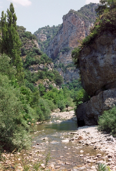 20110605_045.jpg