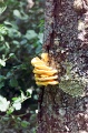 20110605_024