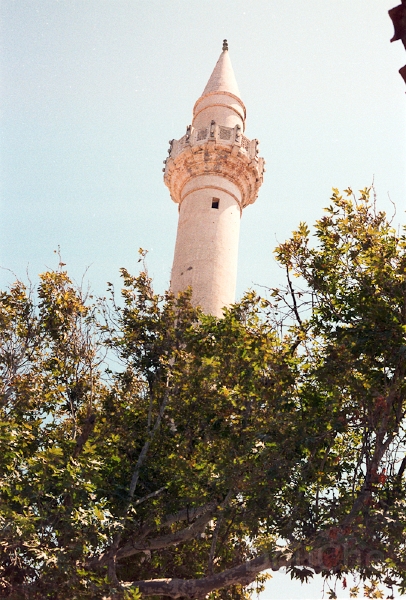 20110528_016.jpg