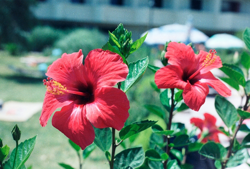 20110528_037.jpg